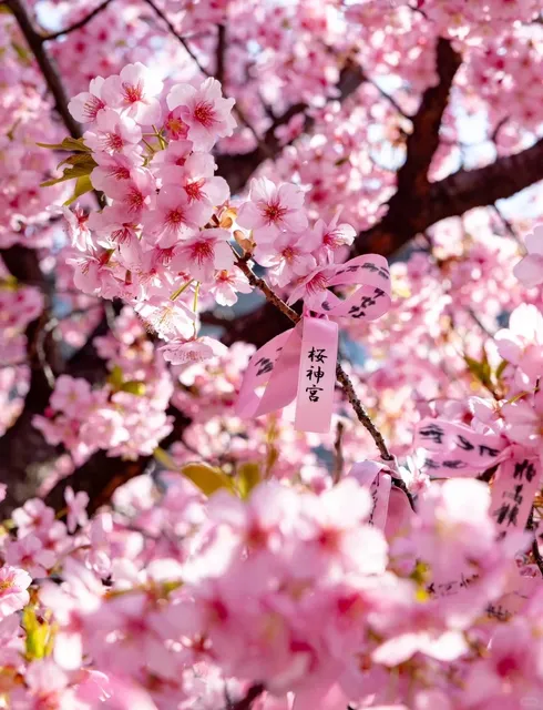 photo-3