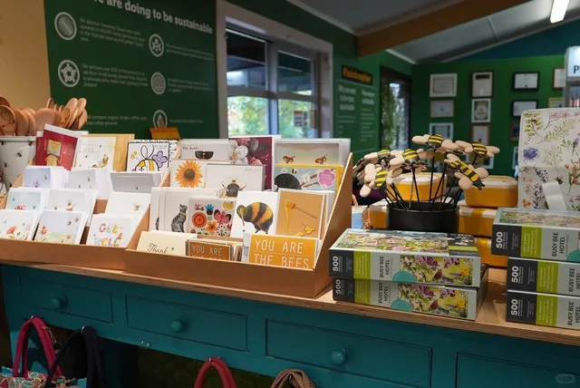 🇳🇿 Taupō Must-Do Route: Geysers, Waterfalls & Plane Burgers! ✈️🌋