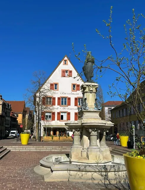 🇫🇷 Colmar & Strasbourg | Real-Life Fairytale Towns