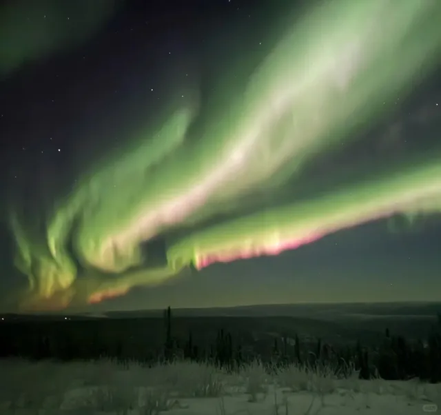 Alaska — Fairbanks (Day 3 & 4) Aurora Outbreak 🌌