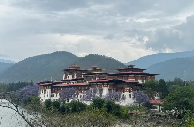 Bhutan Solo Travel 🇧🇹 | Le Méridien Thimphu  