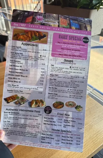 Lotus Restaurant | Minneapolis' Cozy Vegan & Vietnamese Comfort Spot