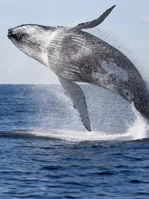 South Africa, a place you simply must visit