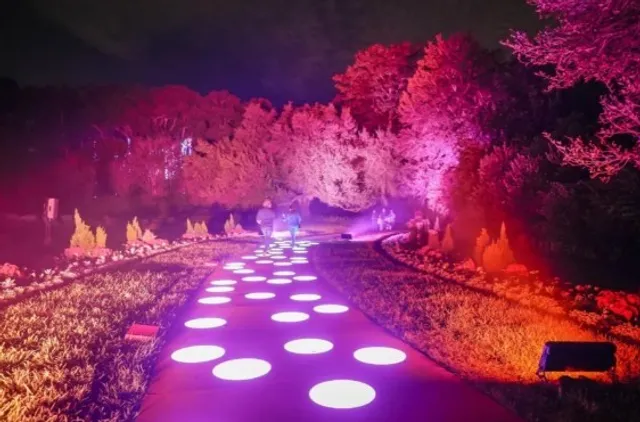 ✨ Dazzling Nights at Pittsburgh Botanic Garden|A Magical Mile of Light