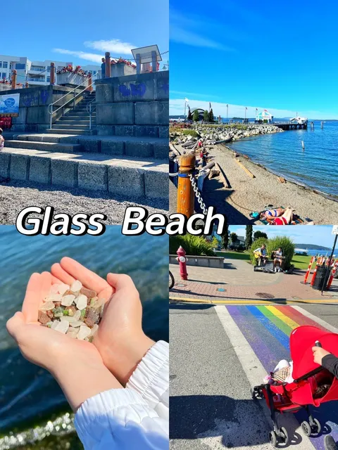 🇨🇦 The Perfect Victoria Guide 🏖️ Island Loop Tour