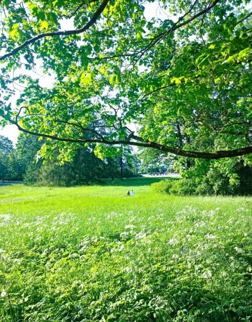 Tallinn is more than just the Old Town🏰