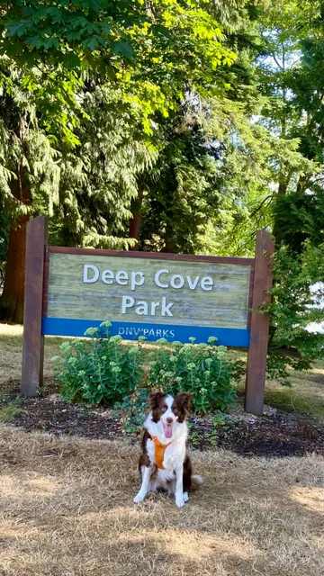 🐕 Deep Cove Dog Hike + Free Parking Hack!  