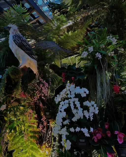 🌆 You Must Visit Marina Bay Park in Singapore!