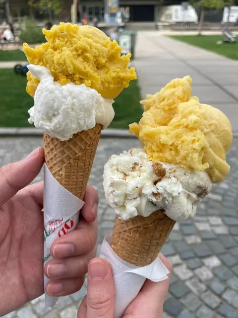 🇩🇪｜Heidelberg Must-Try: Gelato Go 🍵🍦