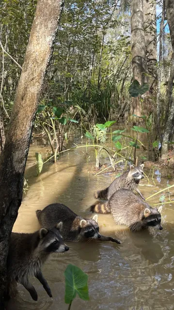 Escape the Winter | New Orleans Travel Guide