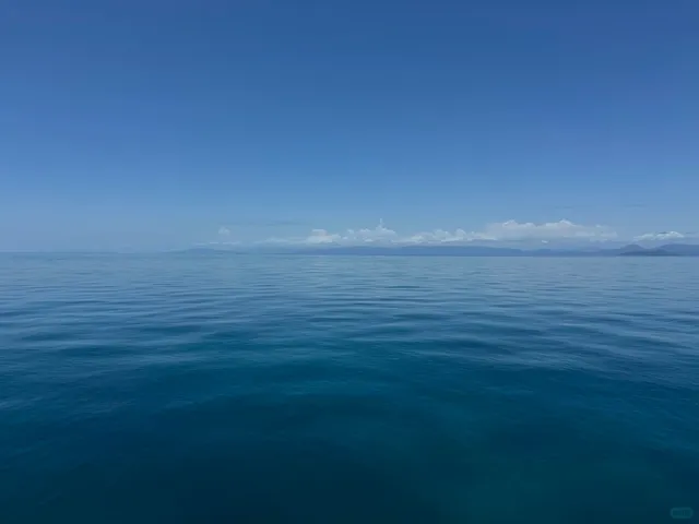 🇦🇺 24 Fall | New Year's Adventure in Cairns! 🎆