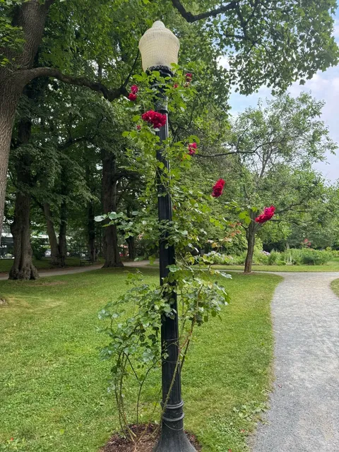 🇨🇦 Peggy's Cove & Halifax Downtown