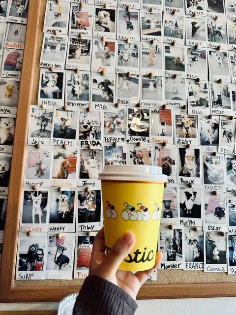 Super Domestic Coffee in LA