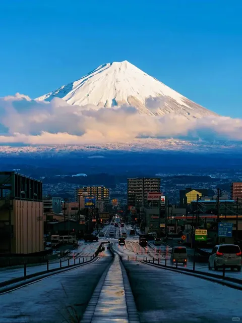 🌿🍃 Mt. Fuji 🌸🌺