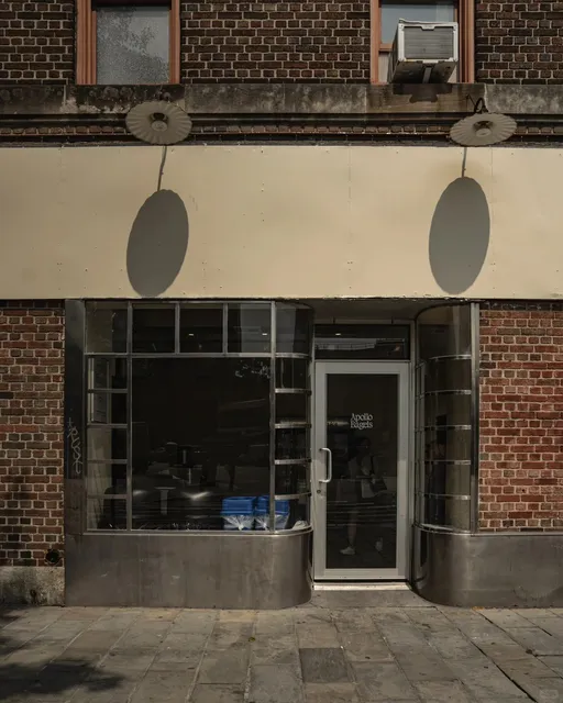 New York West Village | Apollo Bagels 🥯
