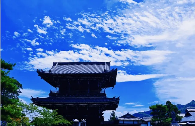 Hidden Gems in Arashiyama, Kyoto 🌿