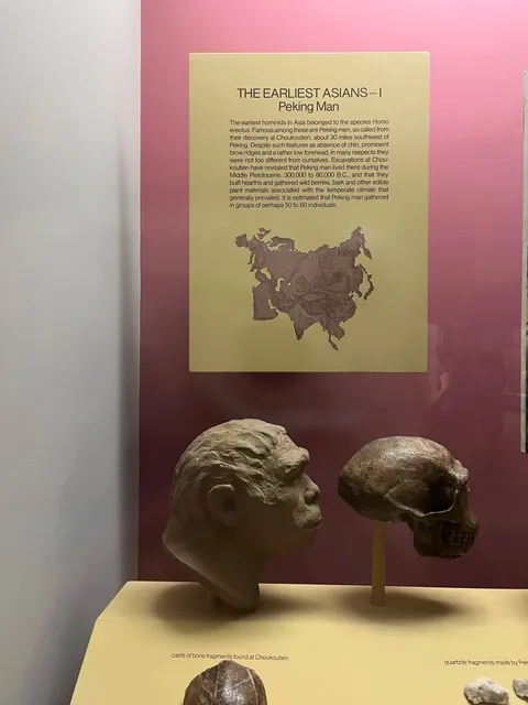  American Museum of Natural History(1)