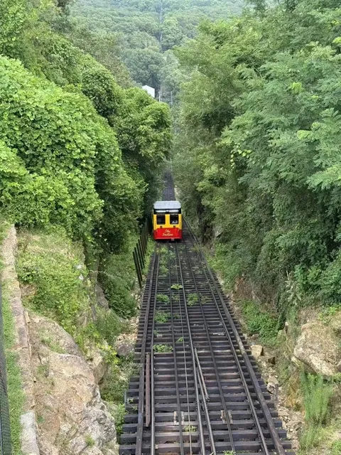 Chattanooga & Atlanta Custom 2-Day Tour 🌄🚂🐋