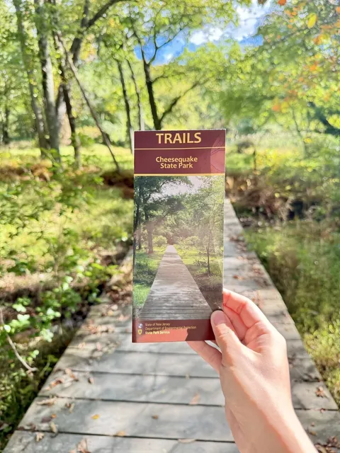 New York Area Hiking Trails for the Hiking-Challenged 🥾