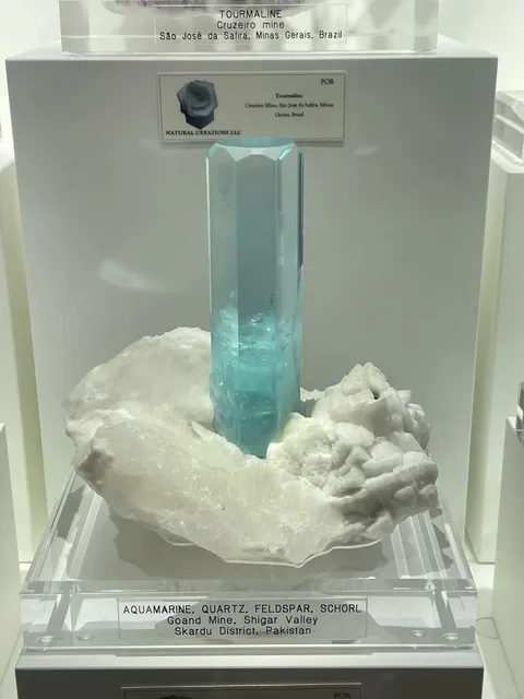 Denver Gem & Mineral Show 2025 Series 1！！！ 👀🏆