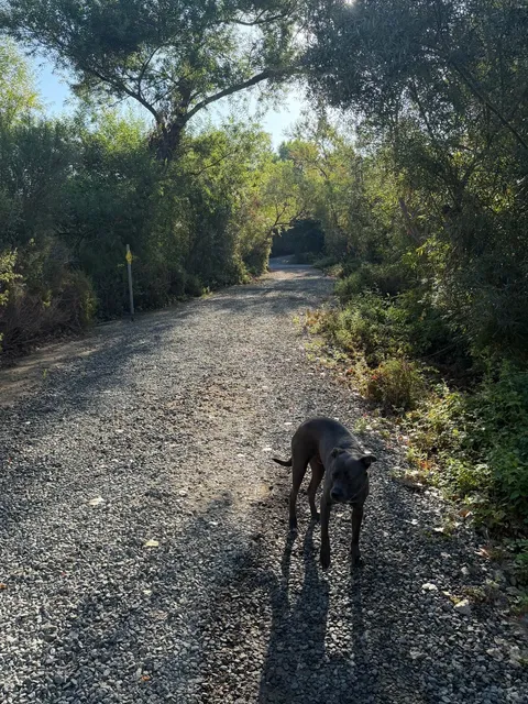 Chino Weekend Dog-Walking Gem | A Hidden Natural Oxygen Bar! 🌿🐕