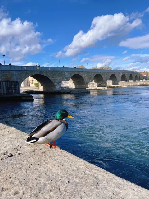 🇩🇪 Regensburg Day Trip: The World’s Oldest Sausage Grill! 🌭️