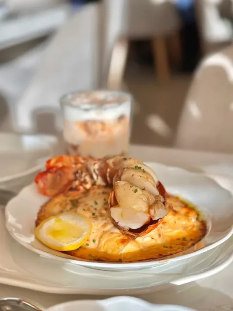 Camphor is a Cozy Bistro Brimming with Sunshine & Lavender ☀️