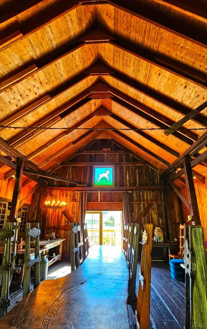 Where to Go on a Bay Area Weekend? Pescadero Cute Lamb Farm 🐑