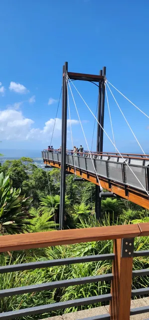  Coffs Harbour - NSW's Eco-Paradise！🐬