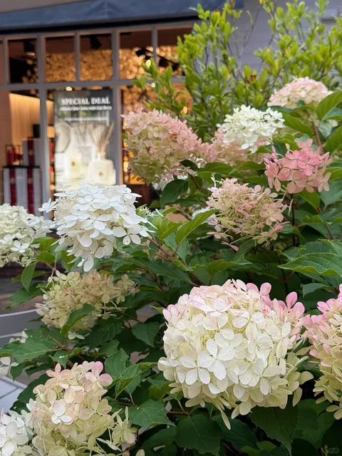 🌤️ London in the Sun | When the City Smiles Back！🌞💙