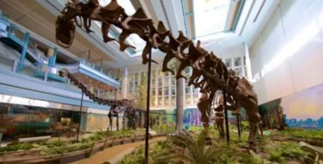 🏛️ CARNEGIE MUSEUMS of ART & NATURAL HISTORY