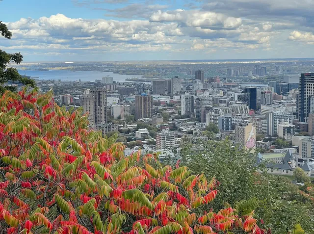 Montreal Travel Guide | The "Paris of North America"