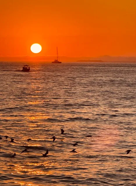 Key West Day Trip Guide | Miami’s Island Escape​​ 🌊