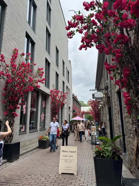🌍✨ Strolling Rue Saint-Paul: Montreal’s Old-World Charm 🏛️