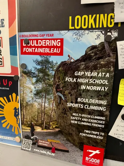 San Francisco Climbing Culture (Gym Explorations) 🧗‍♂️