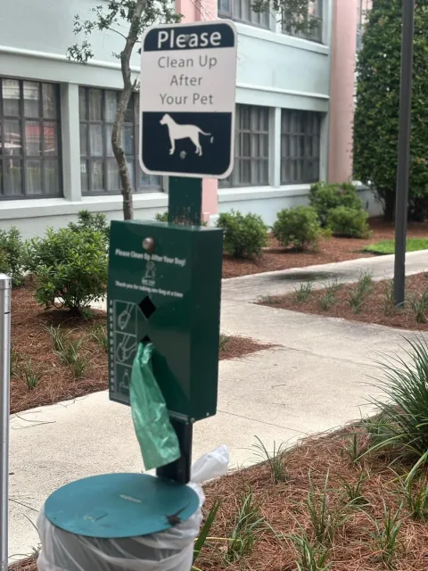 A Perfect Week in Pet-Friendly NOLA! 🐾🌴