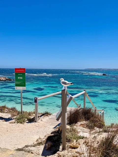 🇦🇺 Solo Trip to Rottnest Island 🏝️ | Perth Adventure