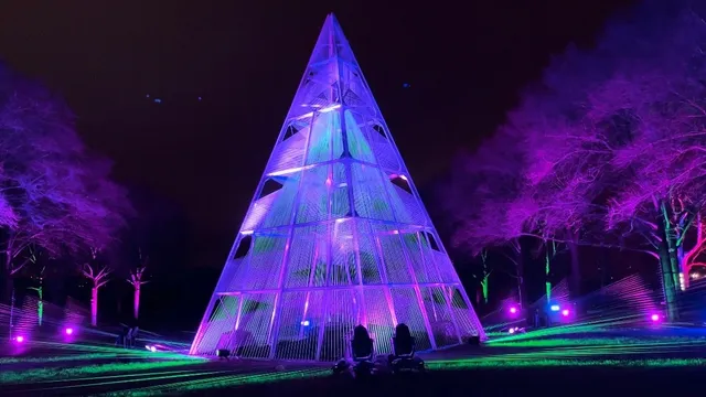 Chicago Winter Ambiance | Lightscape Light Show