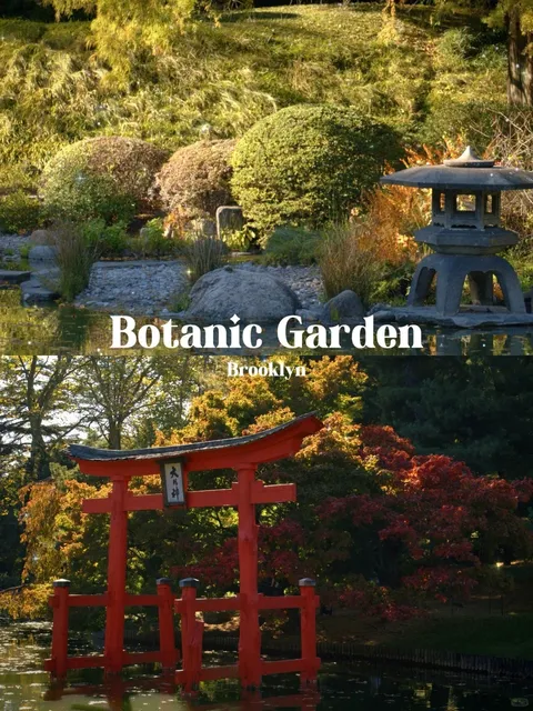 Escape to Brooklyn's Secret Garden - No Flight to Kyoto Needed! 🌿✈️