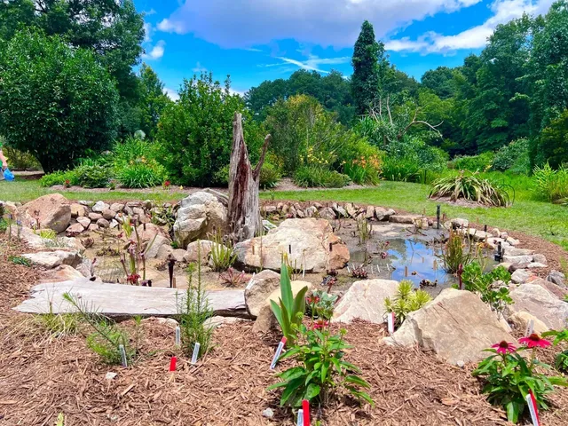 Discover Juniper Level Botanic Garden: A Hidden Oasis in Raleigh! 🌿✨