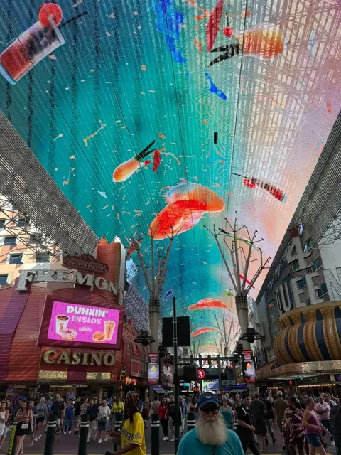 🪩 Omnia U Were So Funnnnnn 💫