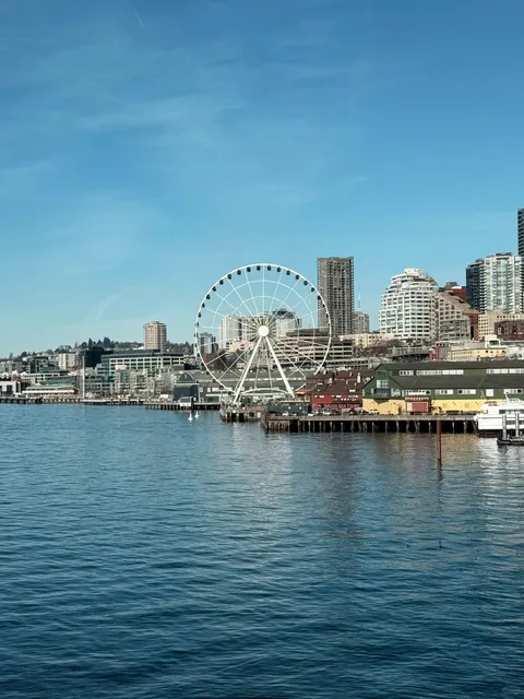 🚢 Ferryboats | A Surprise for Greys Anatomy Fans ✨