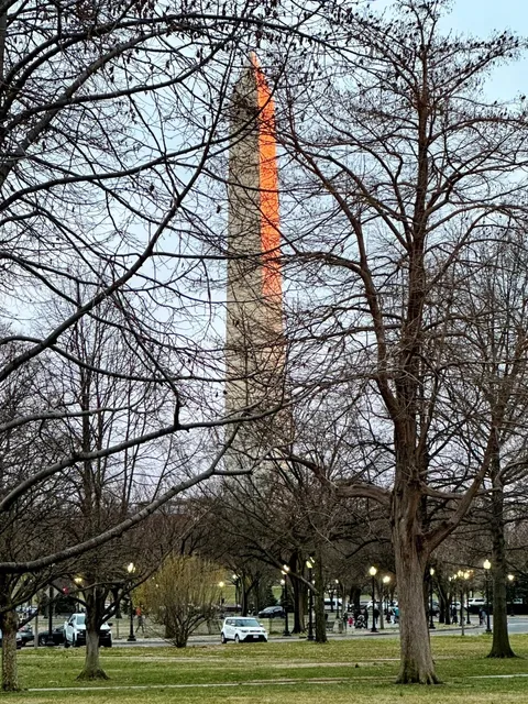 🇺🇸 Regret Not Coming to Washington DC Sooner!