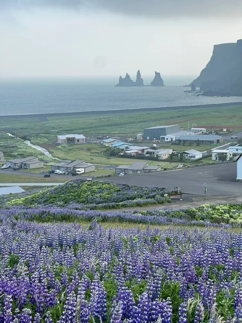 🇮🇸 Iceland Summer Bucket List (May–August)