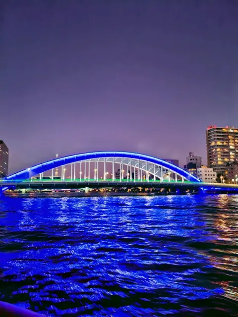 Tokyo Bay Cruise 🌃🌸🍃