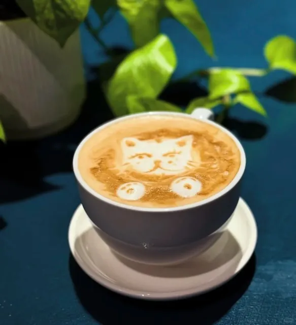 Downtown Austin's Adorable Cat-Themed Café