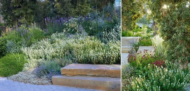 Uber Headquarters’ Secret Garden: A Serene Oasis in San Francisco 🌿🏢