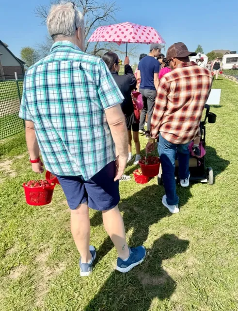Finally Picking Fresh Strawberries in Dallas Spring 🍓