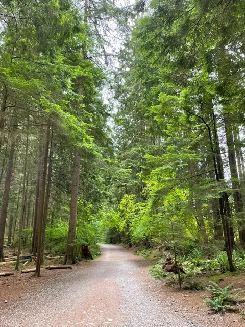 Vancouver Hike 📍 Lynn Canyon Park