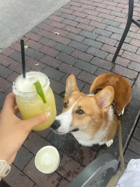 Cincinnati Tacos | Bakersfield 🌮✨